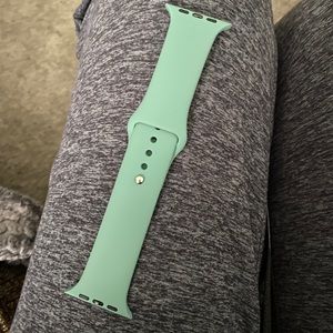 Apple Watch band